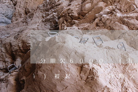 來分期欠6000會(huì)不會(huì)被起訴-來分期欠款6000 會(huì)被起訴嗎