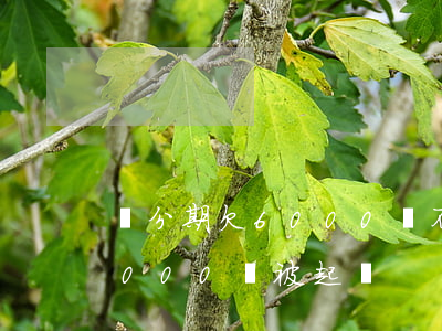 來分期欠6000會不會被起訴(欠來分期6000塊被起訴)