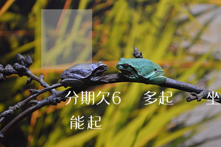 來分期欠6萬多起訴會坐牢嗎(來分期欠多少錢能起訴)