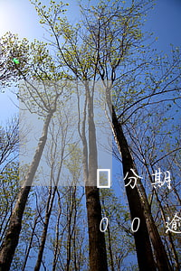 來分期欠7萬逾期400天(來分期欠20000逾期半年)