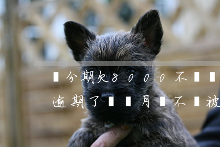 來分期欠8000不還會(欠來分期8000逾期了兩個月會不會被起訴)