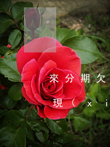 來分期欠8百元會起訴嗎(分期樂逾期8千多,現(xiàn)在要起訴我怎么辦)