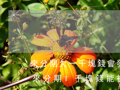 來分期欠一千塊錢會發(fā)律師函嗎(欠來分期1千塊錢能被起訴嗎)