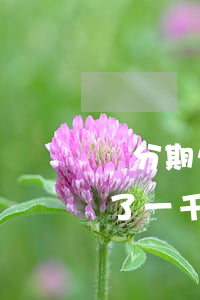 來分期欠一千法院傳票是真的嗎-來分期欠了一千塊錢說把我給告了是真的么