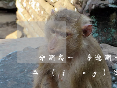 來分期欠一萬多逾期一年了(來分期欠一萬多已經(jīng)逾期了一年)