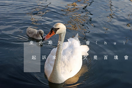 來分期欠一萬會(huì)不會(huì)起訴(來分期欠幾百塊會(huì)被起訴嗎?)