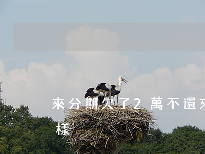 來分期欠了2萬不還(來分期2萬不還會怎么樣)