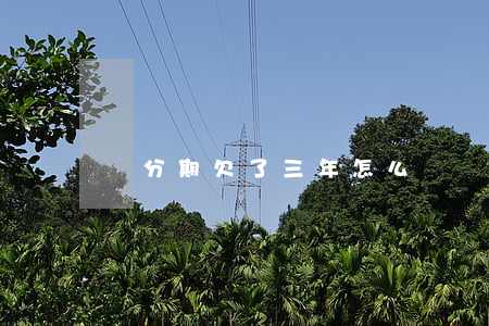 來分期欠了三年怎么辦(來分期3年沒還了)
