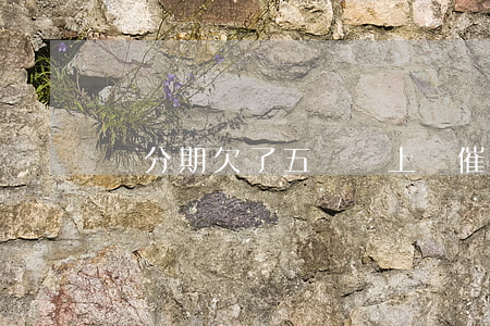 來分期欠了五萬會上門催收嗎