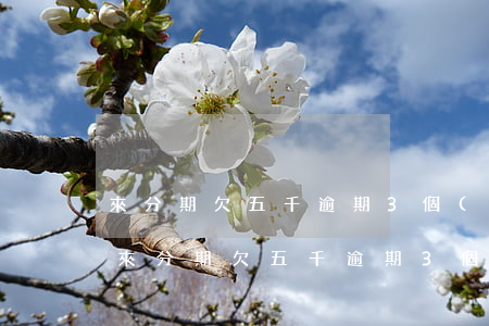 來分期欠五千逾期3個(gè)月暴力催收(來分期欠五千逾期3個(gè)月暴力催收)