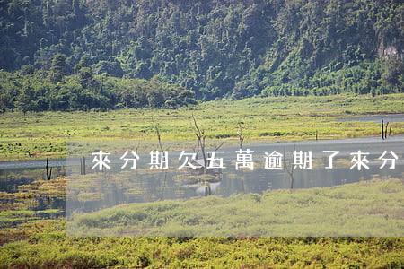 來分期欠五萬逾期了(來分期欠4萬逾期3年)
