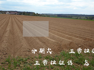 來分期欠幾萬正常拉征信會怎樣(來分期欠幾萬正常拉征信會怎樣)
