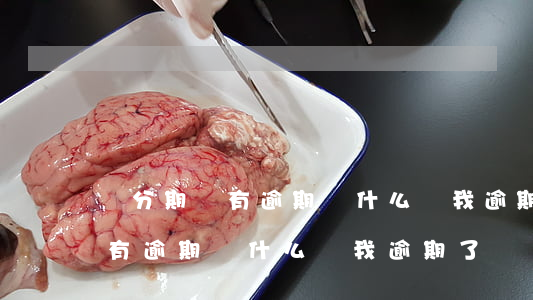 來分期沒有逾期為什么說我逾期-來分期沒有逾期為什么說我逾期了