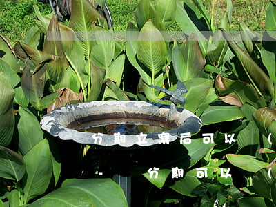 來分期立案后可以協(xié)商三期還款嗎-來分期可以協(xié)商還本金嗎