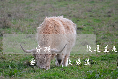 來分期說關閉還款通道是真的嗎-來分期說要關閉還款渠道