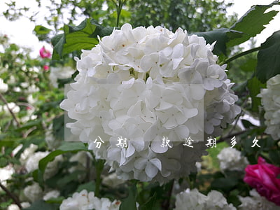 來分期貸款逾期多久會(huì)被起訴