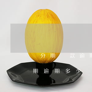 來分期貸款逾期多久會(huì)起訴(來分期逾期多少錢會(huì)被起訴)