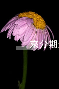 來分期起訴逾期(來分期起訴了)