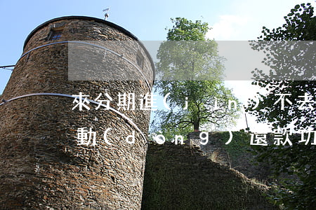 來分期進(jìn)不去還會(huì)自動(dòng)還款功能-來分期不能還款怎么回事