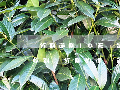 來分期逾期10天說是下發(fā)律師函 收到來分期的律師函怎么辦