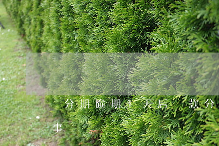 來分期逾期1天后還款(分期還款逾期幾天沒事)