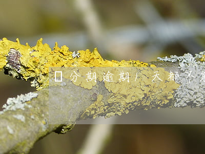 來分期逾期1天都不能借了嗎