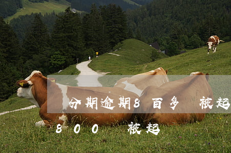 來分期逾期8百多會被起訴嗎-來分期逾期800會被起訴嗎?