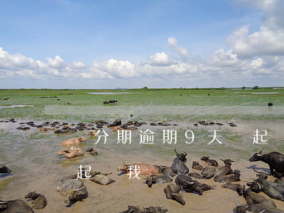 來分期逾期9天說起訴我(來分期逾期9天說起訴我)