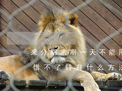 來分期逾期一天不能用了(來分期逾期一天就借不了錢,有什么方法)