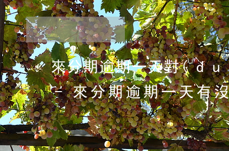來分期逾期一天對(duì)花唄有影響嗎-來分期逾期一天有沒影響