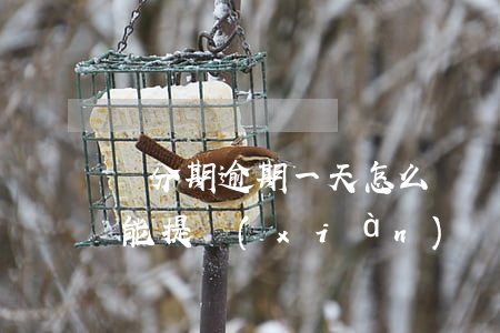 來分期逾期一天怎么辦（來分期逾期一天就不能提現(xiàn)）