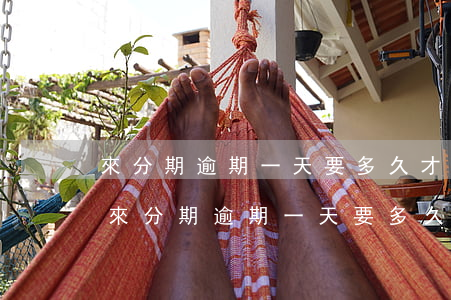 來分期逾期一天要多久才能恢復(fù)-來分期逾期一天要多久才能恢復(fù)征信