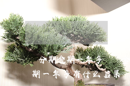 來分期逾期一年多滯納金怎么辦-來分期逾期一年多有什么后果