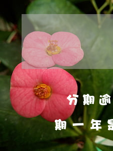來分期逾期一年是拉入黑名單嗎-來分期逾期一年是拉入黑名單嗎是真的嗎