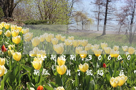 來分期逾期了30000會起訴嗎(來分期逾期三個月了,被起訴后會怎樣)