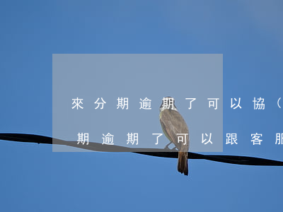 來分期逾期了可以協(xié)商的嗎(來分期逾期了可以跟客服協(xié)商下個(gè)月還嗎)