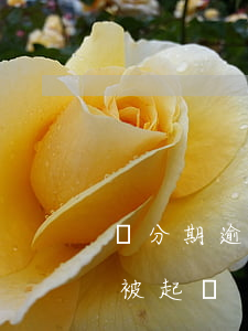 來分期逾期了多久會起訴(來分期逾期會不會被起訴)