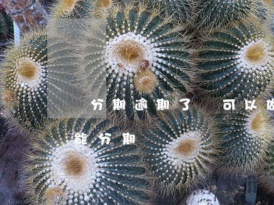 來分期逾期了還可以做分期嗎(分期逾期了還能分期嗎)