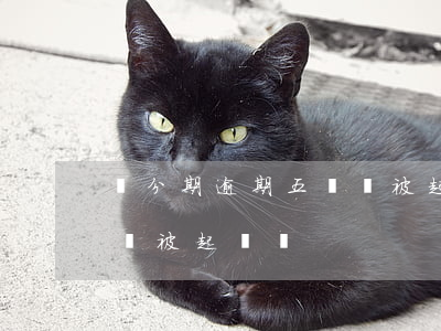 來分期逾期五萬會被起訴嗎(來分期逾期五萬會被起訴嗎)