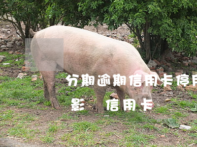 來分期逾期信用卡停用(來分期一直逾期會不會影響信用卡)