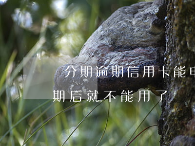 來分期逾期信用卡能申請下來嗎-來分期逾期后就不能用了嗎