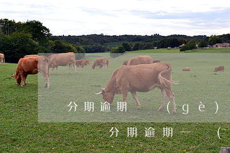 來分期逾期兩個(gè)月了會(huì)這樣（來分期逾期一個(gè)多月了）