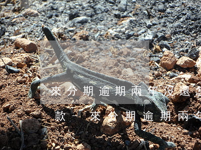 來分期逾期兩年沒還怎么協(xié)商還款-來分期逾期兩年怎么辦