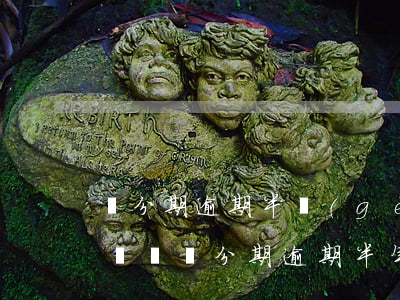 來分期逾期半個(gè)月會(huì)起訴嗎（來分期逾期半年會(huì)被報(bào)送人民法院）