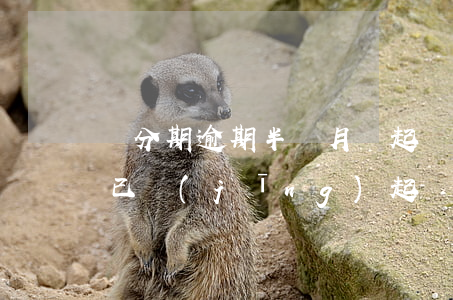 來分期逾期半個月會起訴嗎 來分期逾期半年已經(jīng)起訴我了
