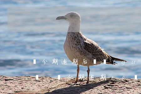 來分期逾期后會關(guān)閉還款通道嗎-來分期逾期10關(guān)閉還款渠道