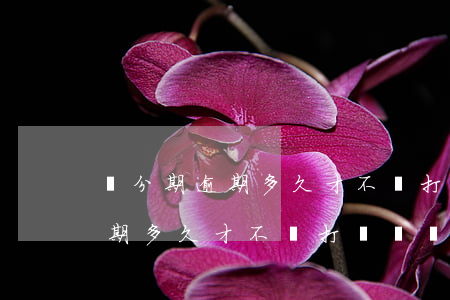 來分期逾期多久才不會打擾電話-來分期逾期多久才不會打擾電話了