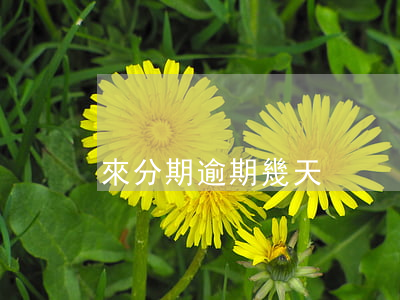 來分期逾期幾天