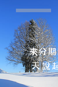 來分期逾期幾天起訴 來分期逾期1年3萬今天說起訴