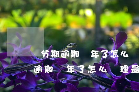 來分期逾期幾年了怎么處理最合適-來分期逾期幾年了怎么處理最合適呢
